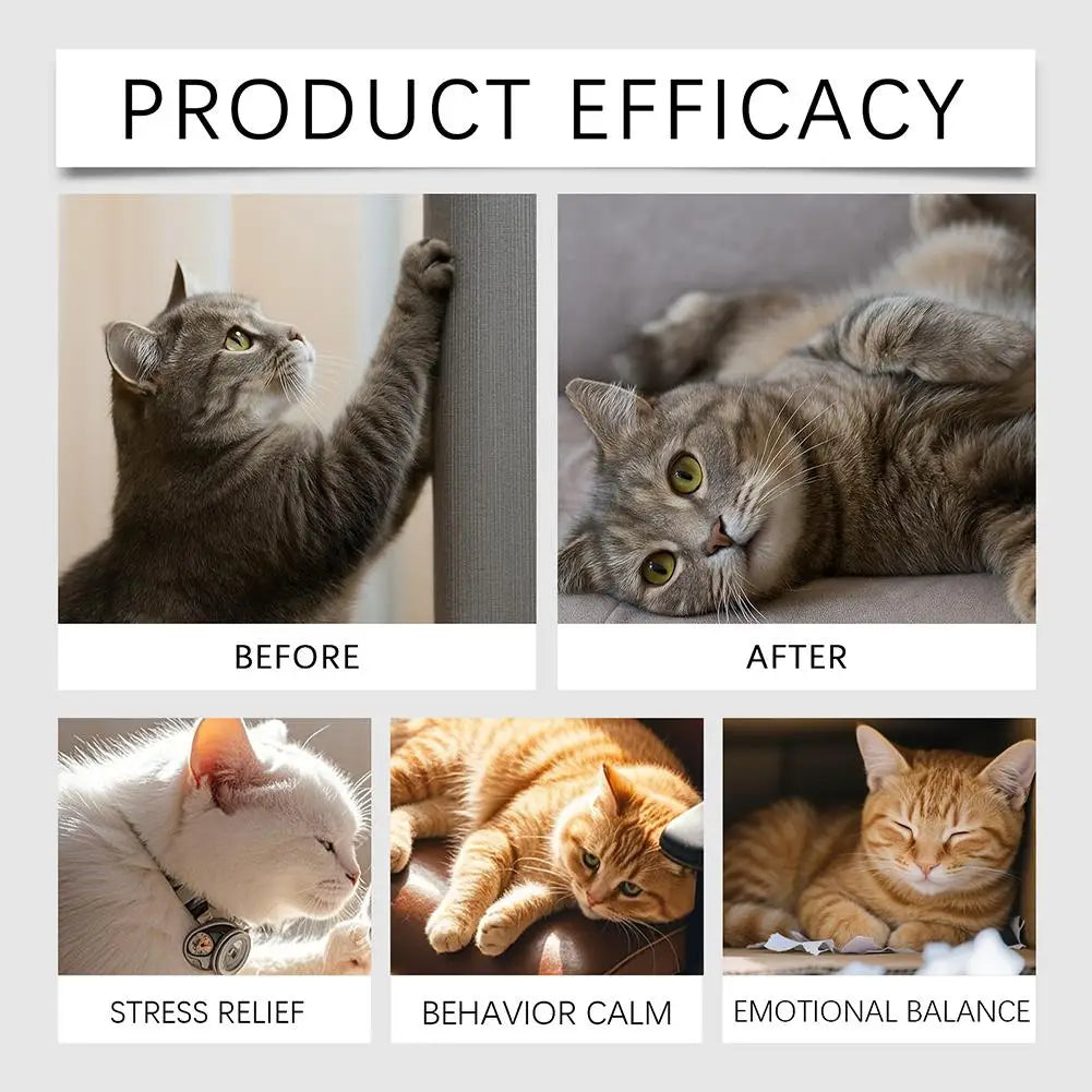 Pet Cat Calming Pheromone Diffuser Plug In Reduce Stress Fear Separation Anxiety Anti-Destructive Behavior Cat Relaxing Supplies